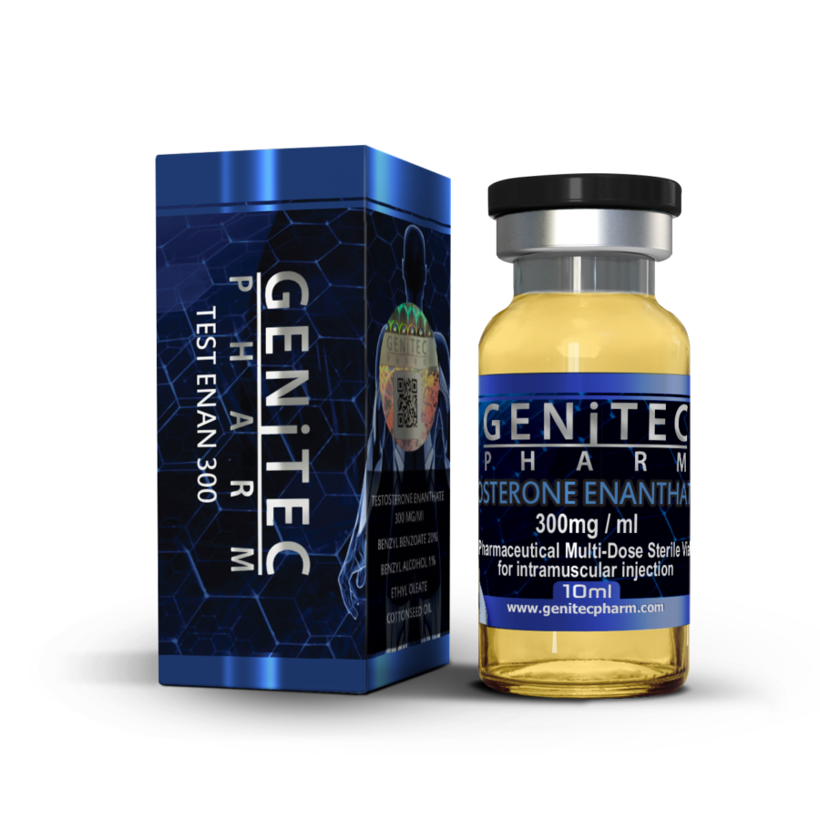 Testosterone Enanthate 300 GP